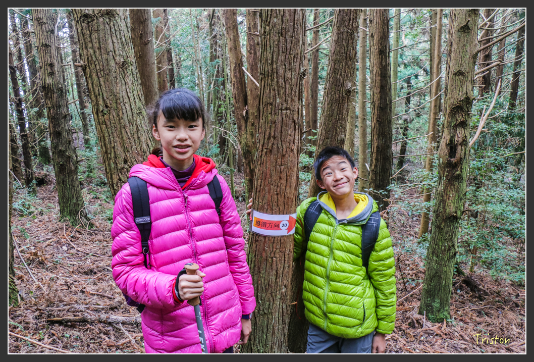 IMG_3458.jpg - 20160227 觀霧森林步道