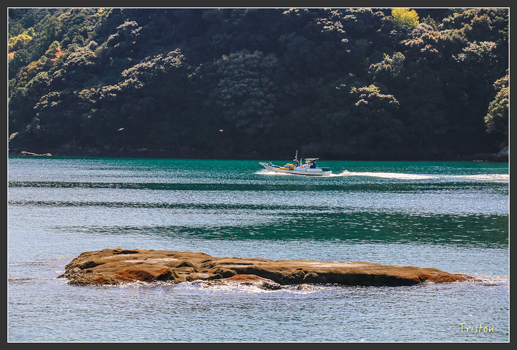 IMG_5845.jpg - 20160323 日本熊野古道健行