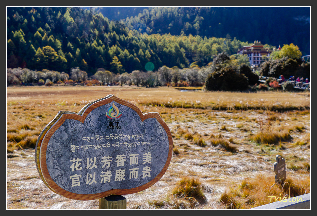 _MG_1938.jpg - 20161013 稻城亞丁