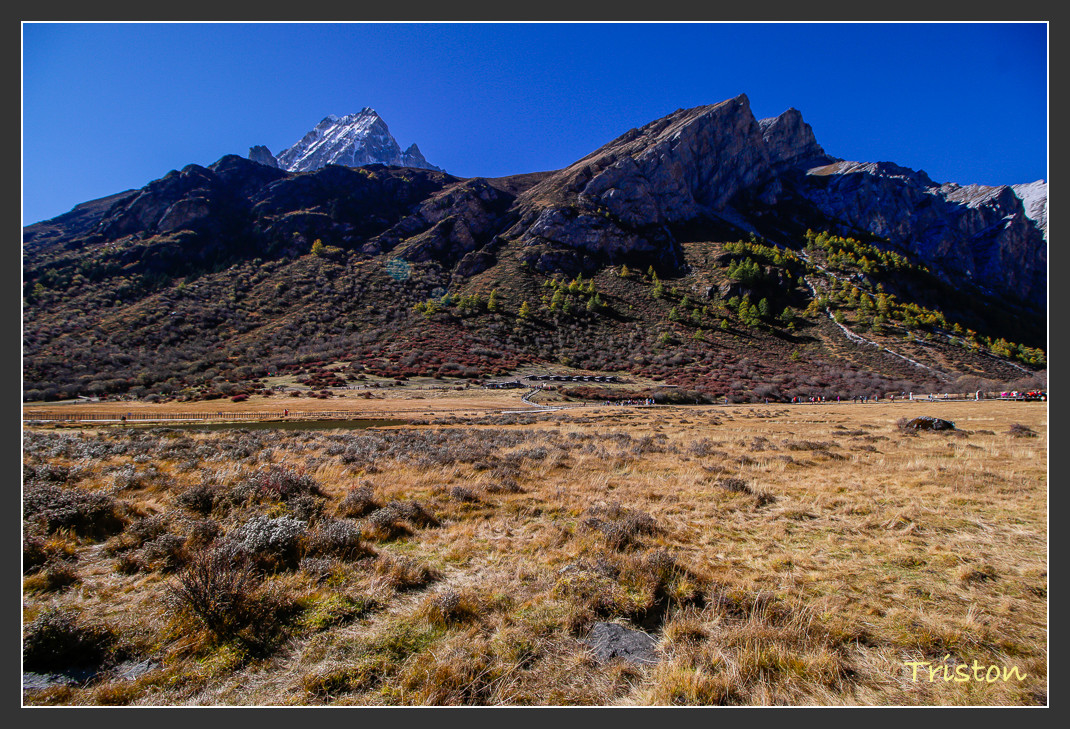 _MG_1927.jpg - 20161013 稻城亞丁