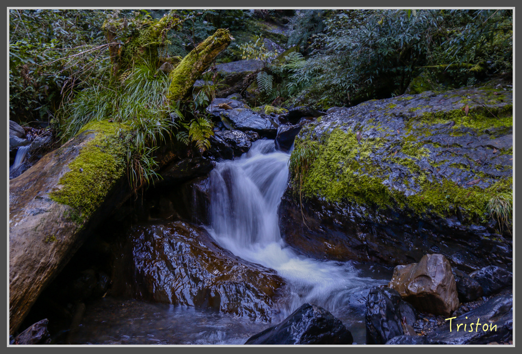 _MG_0290.jpg - 20161203 鎮西堡