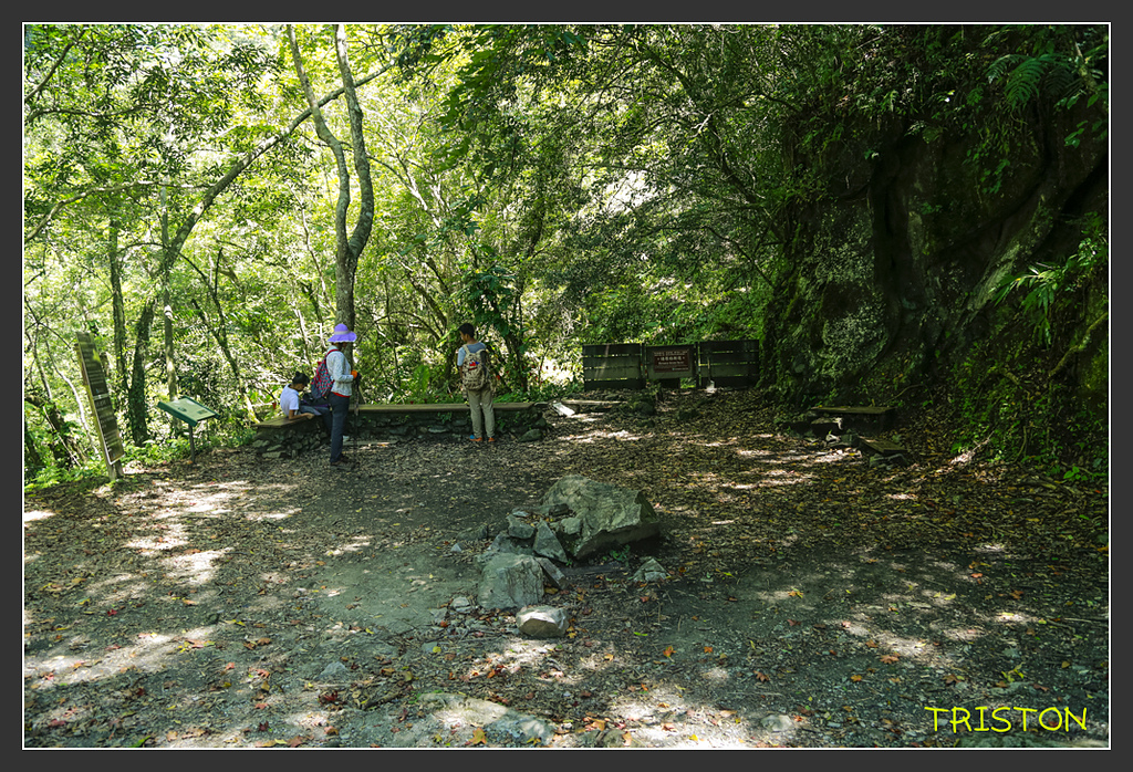 _H1A6424.jpg - 20170901 戀戀台九線