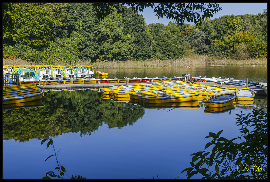 _H1A1645.jpg - 20171103 日本只見線、會津若松五色沼、昭和記念公園賞紅葉
