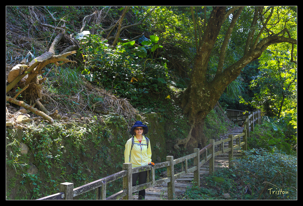 JH1A9839.jpg - 20151005 竹坑溪步道