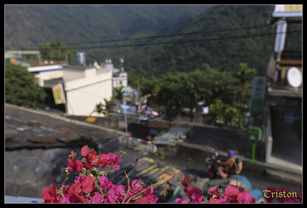 jh1a0108_15741761296_o.jpg - 20141111 屏東霧台 神山 一日來往輕旅行