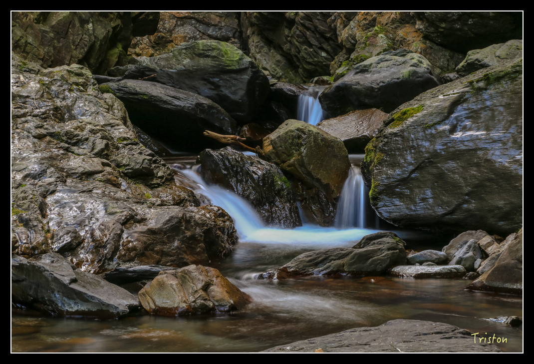 JH1A0796.jpg - 20151205 合歡溪步道、108K楓之谷