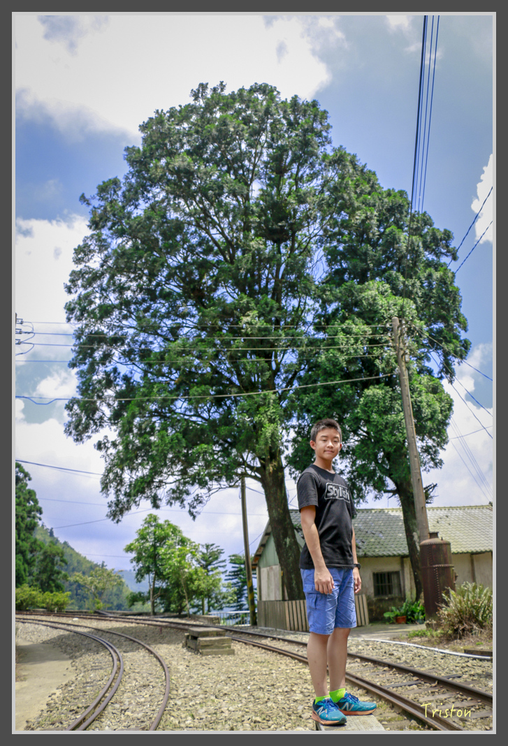 _MG_8789.jpg - 20160622 圓潭、雲潭、水社寮車站