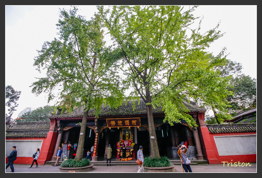 _MG_2840.jpg - 20161013 稻城亞丁