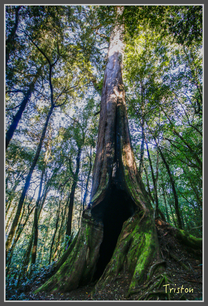 _MG_0322.jpg - 20161203 鎮西堡