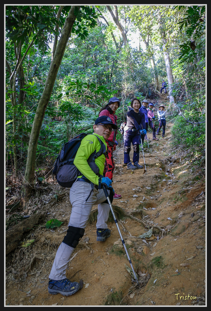 _MG_0469.jpg - 201161217 旗靈縱走