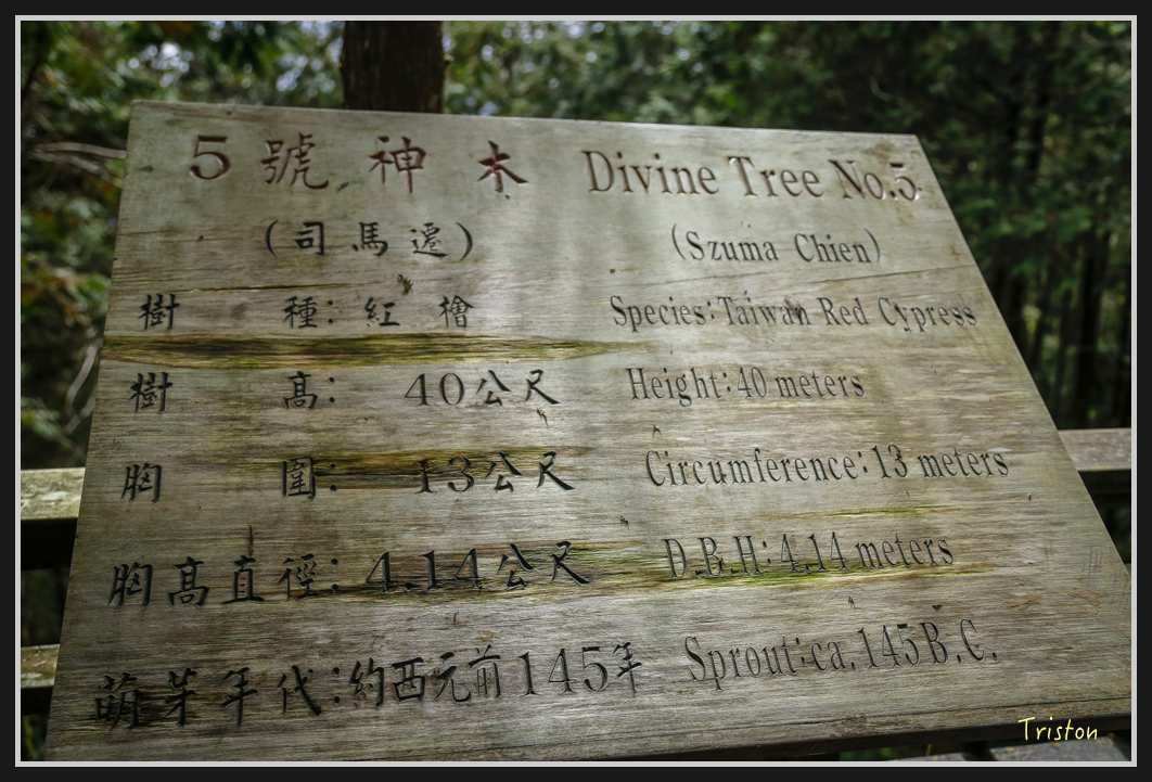 0093.jpg - 20161231 明池 神木園