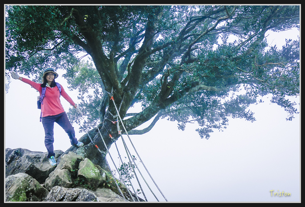 _MG_0703.jpg - 20170114 旗尾山