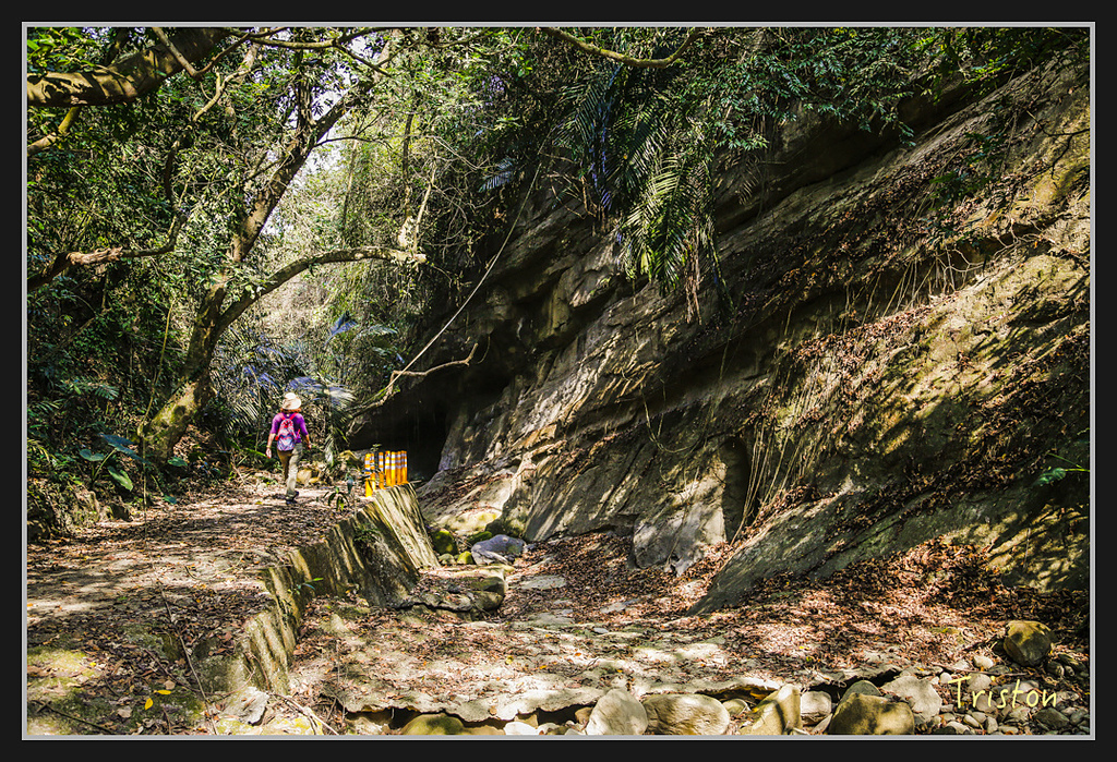 _H1A2733.jpg - 20170325 梅嶺蝙蝠洞、噍吧年事件紀念園區