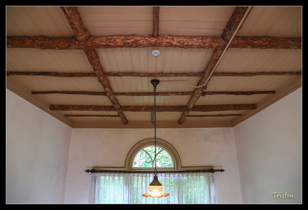 JH1A9446.jpg - 20150628 東京輕井澤日光