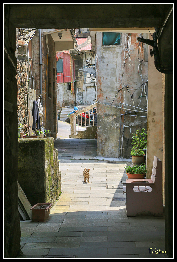 JH1A9128.jpg - 20150814 馬祖之旅