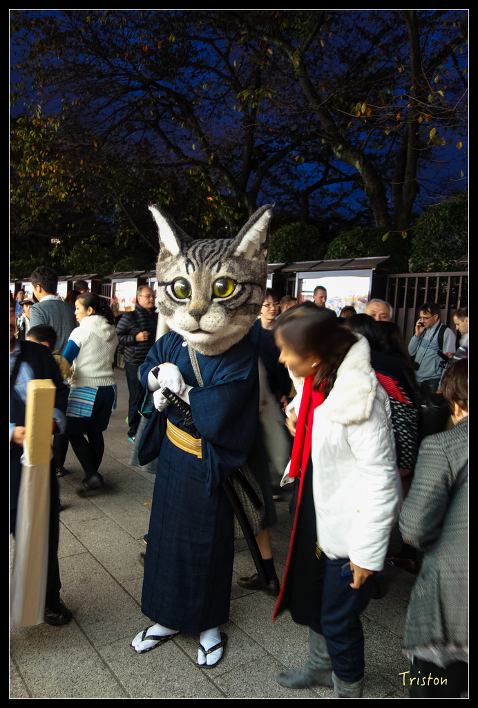 DSC00153.jpg - 20151031 秋天的童話-貴婦東京輕井澤紀行