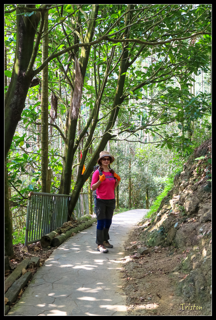 IMG_0766.jpg - 20151115 獨立山步道