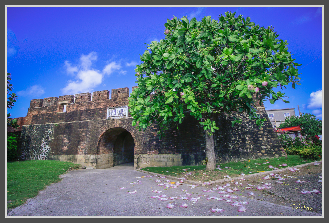 _MG_8287.jpg - 20160618 阿朗壹古道