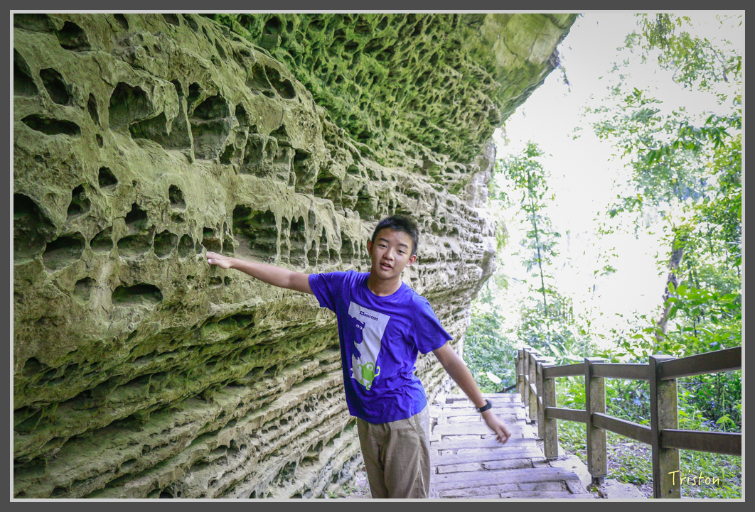 _MG_9140.jpg - 20160716 青年嶺步道