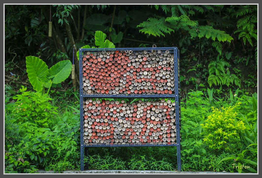 218 JH1A0049.jpg - 20160801 父子親子遊東北角