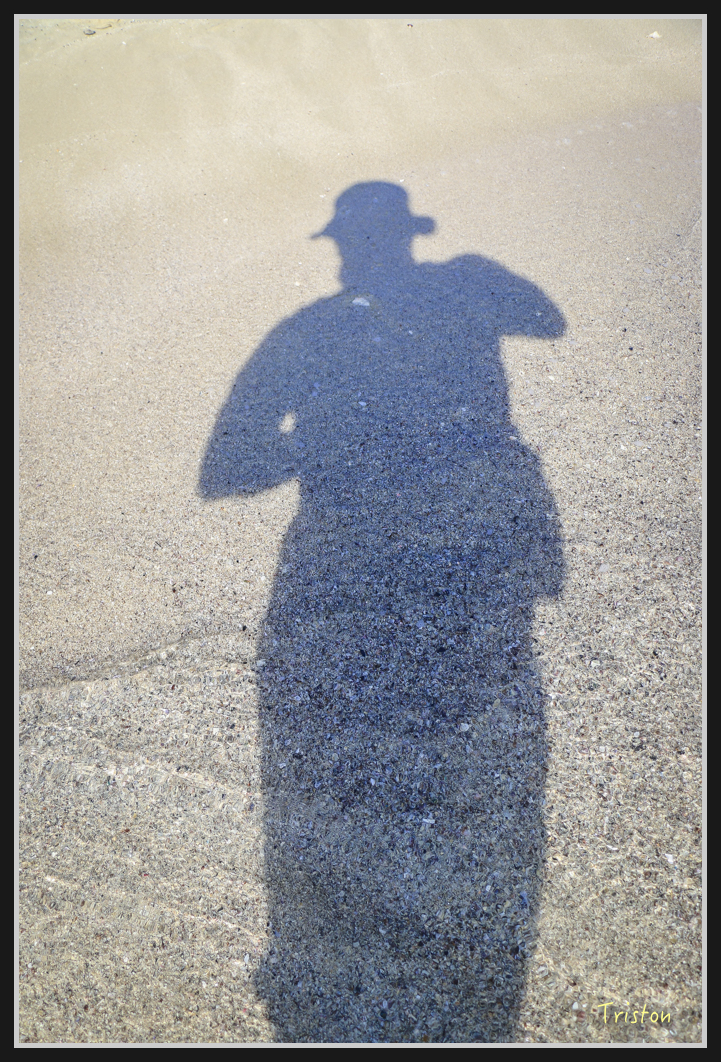 0037.jpg - 20170107 香港健行