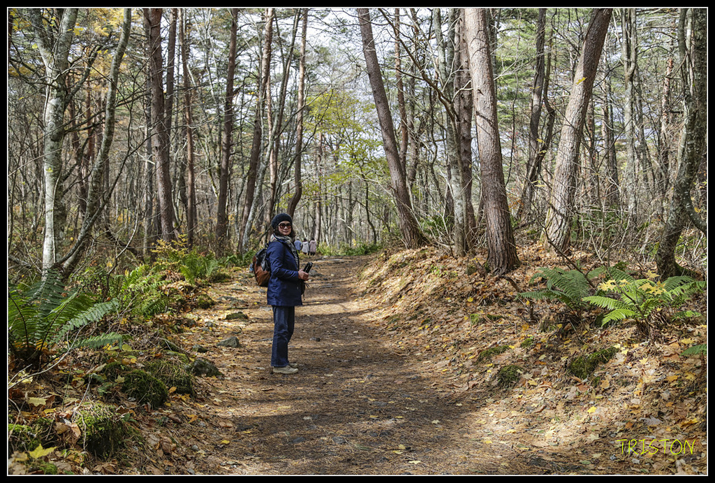 _H1A1330.jpg - 20171103 日本只見線、會津若松五色沼、昭和記念公園賞紅葉