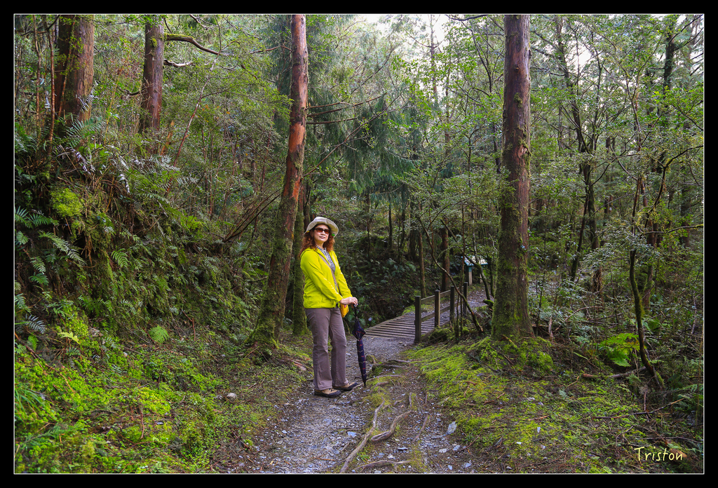 JH1A0144.jpg - 20151024~25 幾米公園、翠峰湖、翠峰山屋、望洋山步道、山毛櫸步道