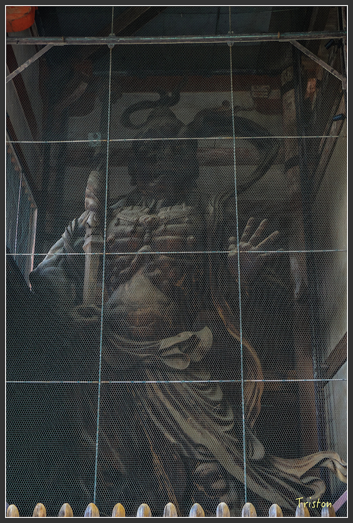 IMG_4325.jpg - 20160323 日本熊野古道健行