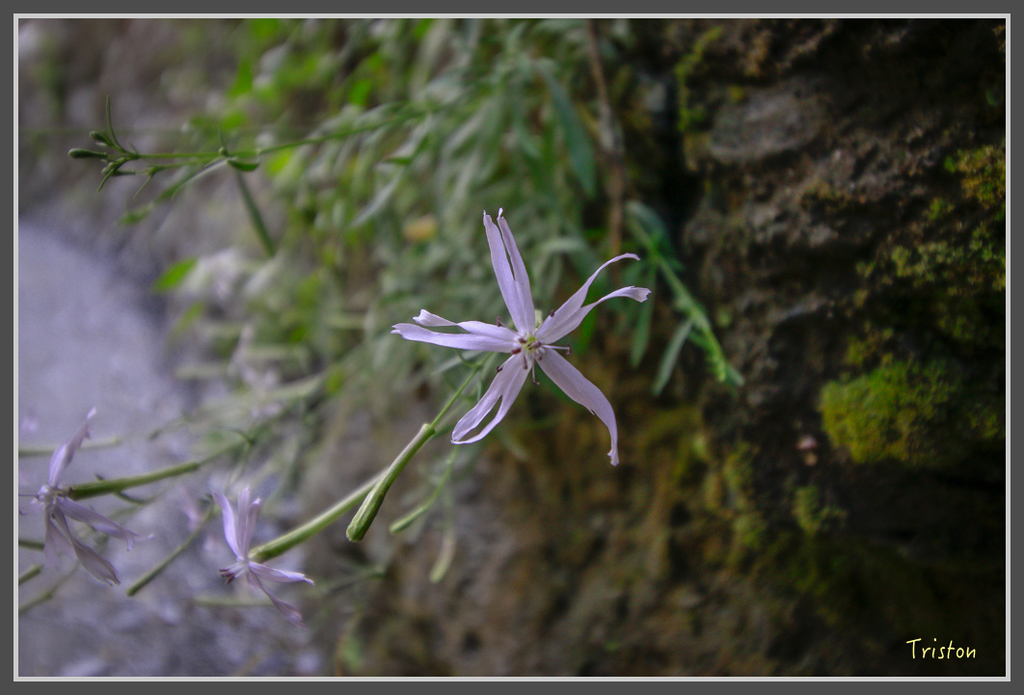 IMG-63.jpg - 20160821 中橫花東之旅