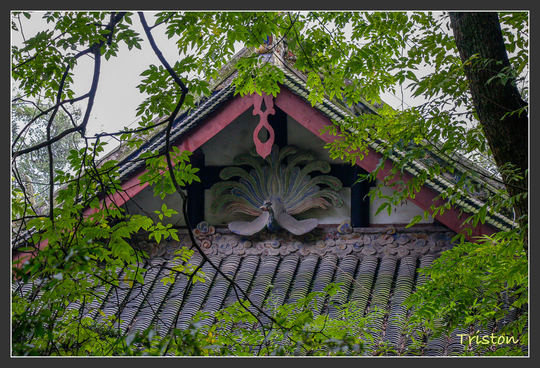 _MG_0174.jpg - 20161013 稻城亞丁