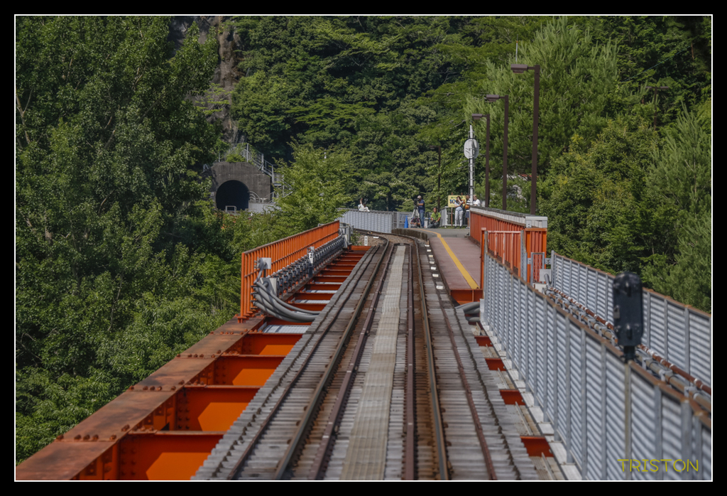_MG_0509.jpg - 20170702 靜岡東海道之旅