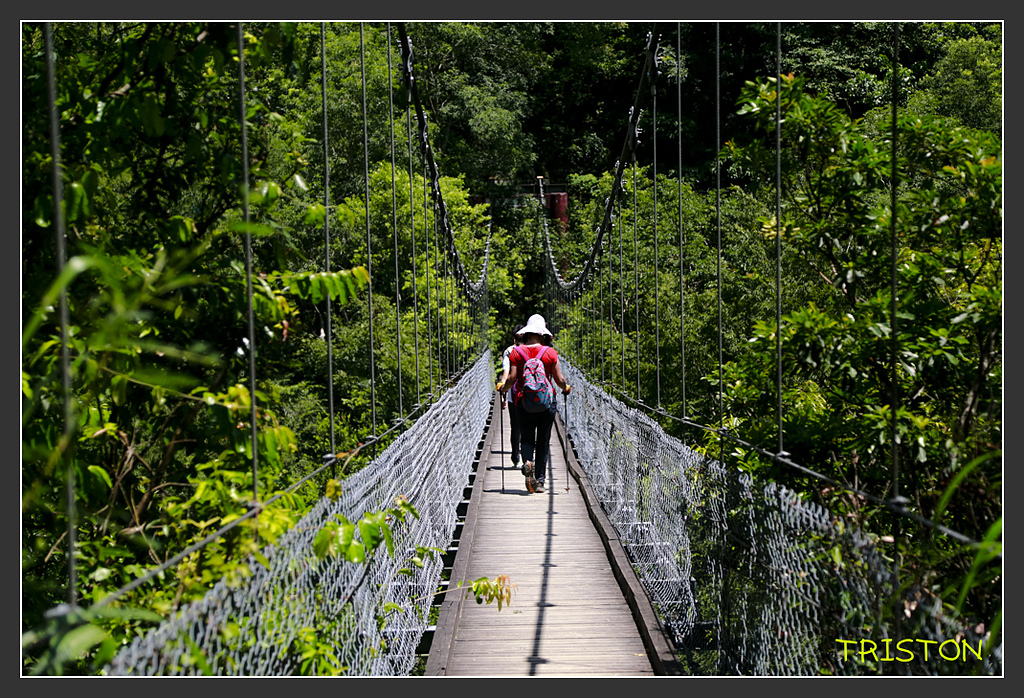 _H1A6458.jpg - 20170901 戀戀台九線