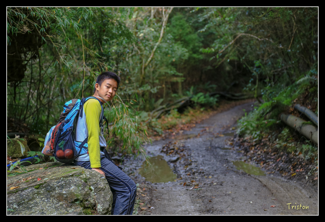 JH1A0671.jpg - 20151205 合歡溪步道、108K楓之谷