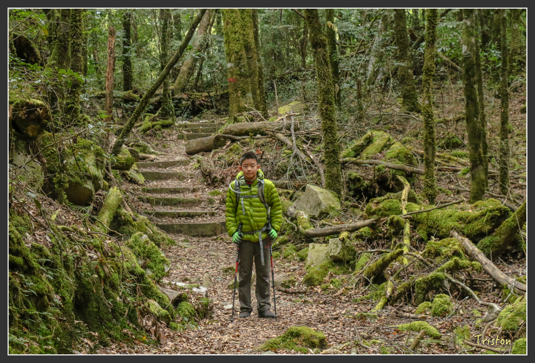 IMG_1180.jpg - 20151219 鳶嘴稍來山、小雪山林道