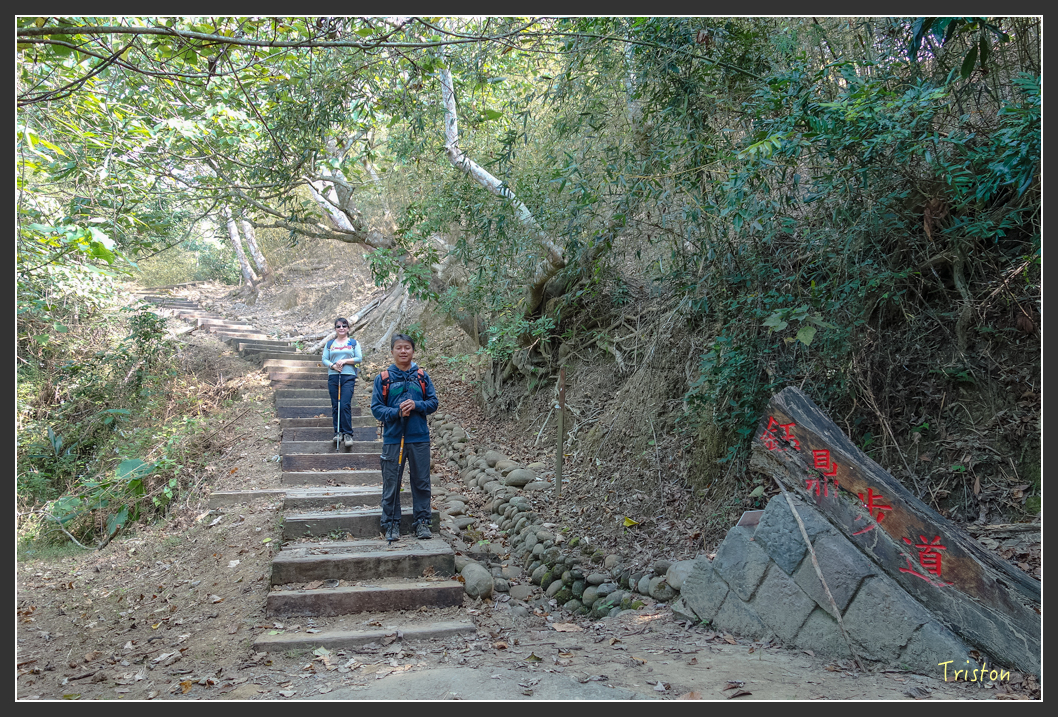 DSC00642.jpg - 20151229 鈺鼎步道