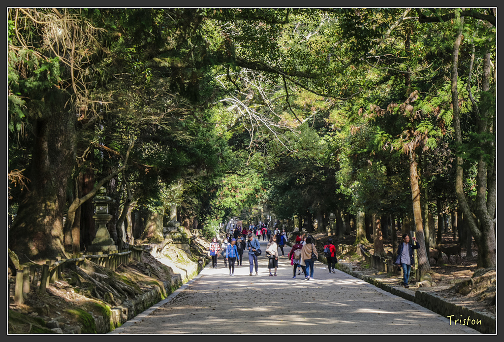 IMG_4017.jpg - 20160323 日本熊野古道健行