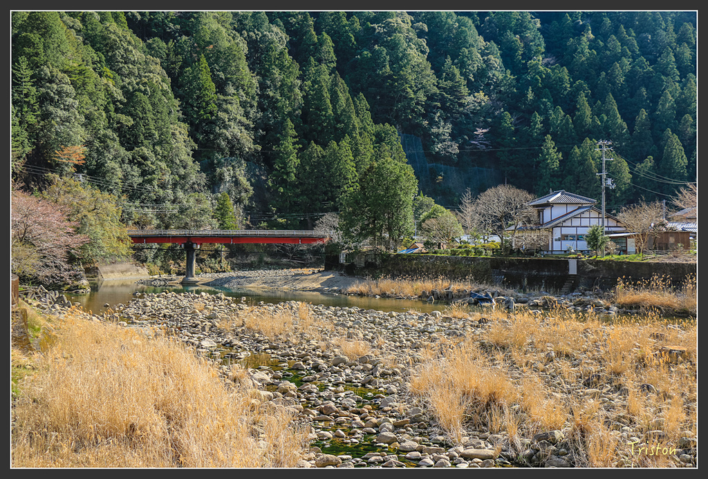 IMG_5239.jpg - 20160323 日本熊野古道健行