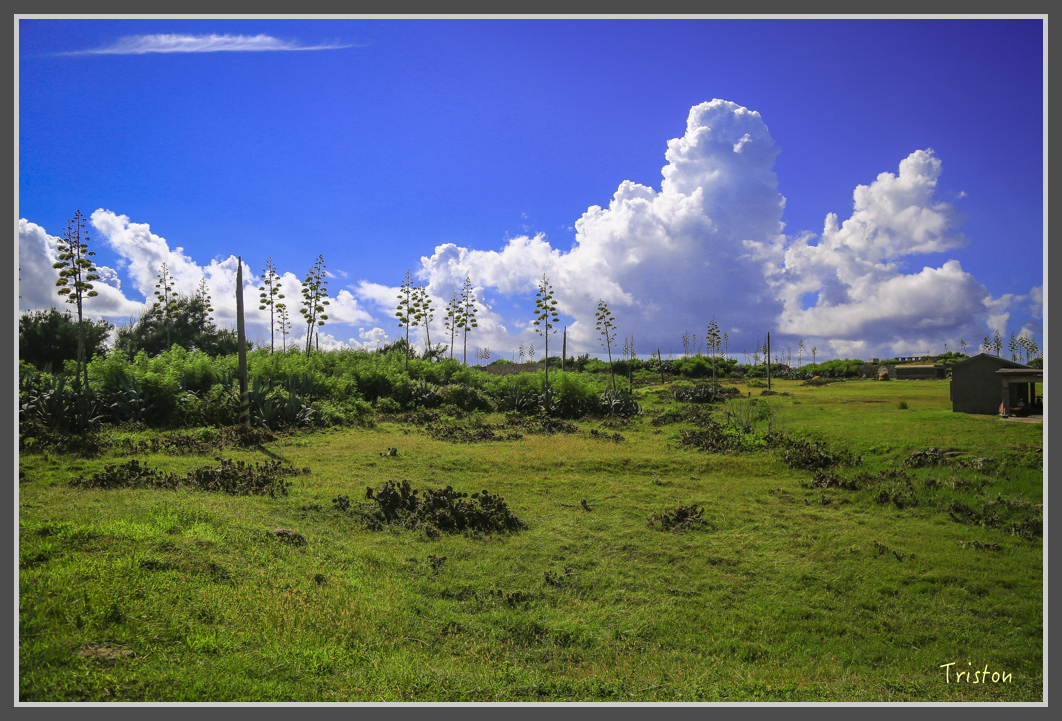 JH1A1325.jpg - 20160701 澎湖