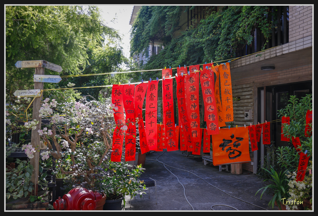 0030.jpg - 20170107 香港健行