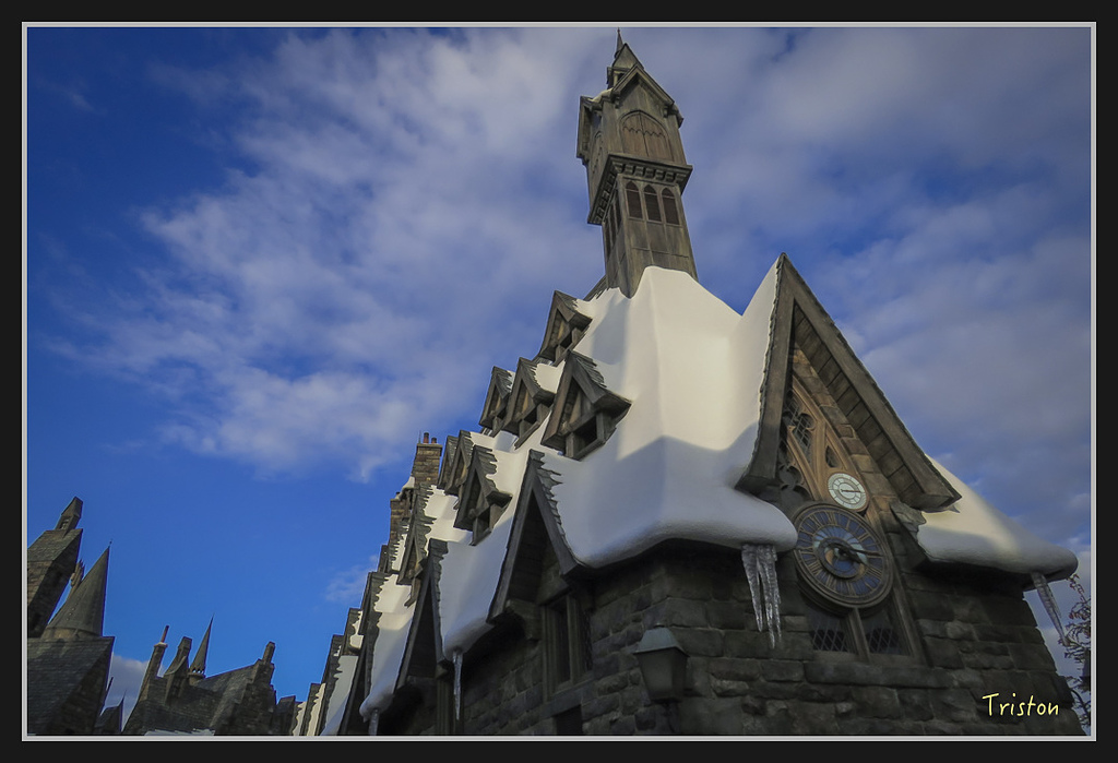 Canon-1058.jpg - 20170120 大阪神戶親子遊 