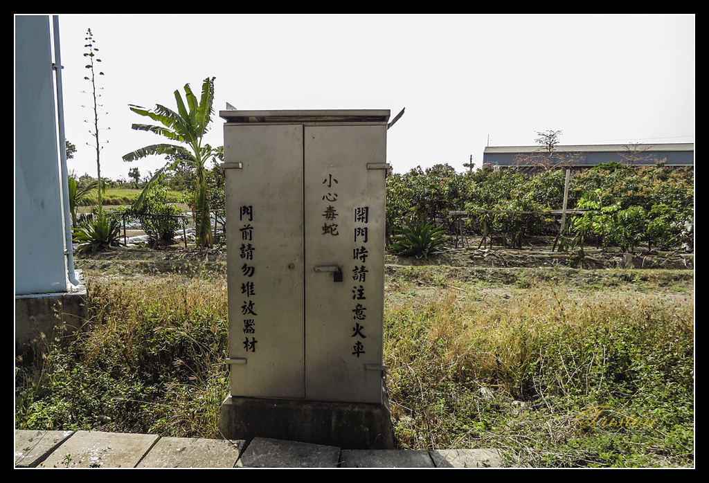 IMG_0056.jpg - 20170327 二層行溪鐵橋+環頸雉