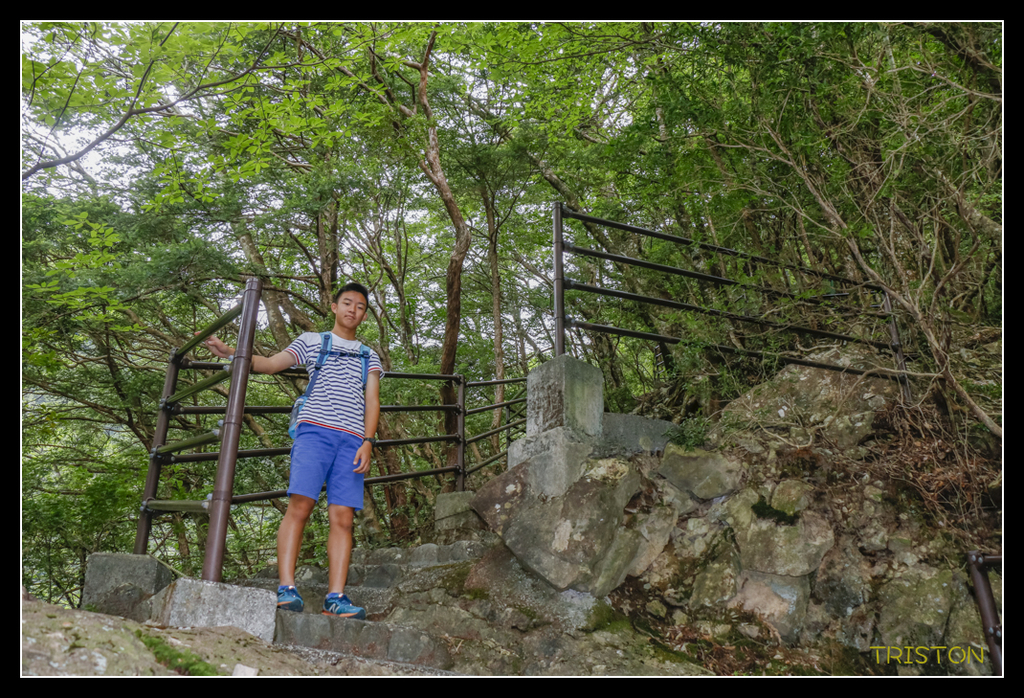 _MG_0829.jpg - 20170702 靜岡東海道之旅