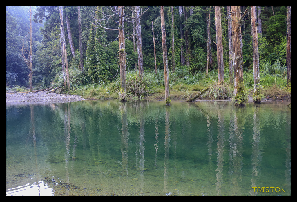 _MG_0227.jpg - 20170723 水漾森林