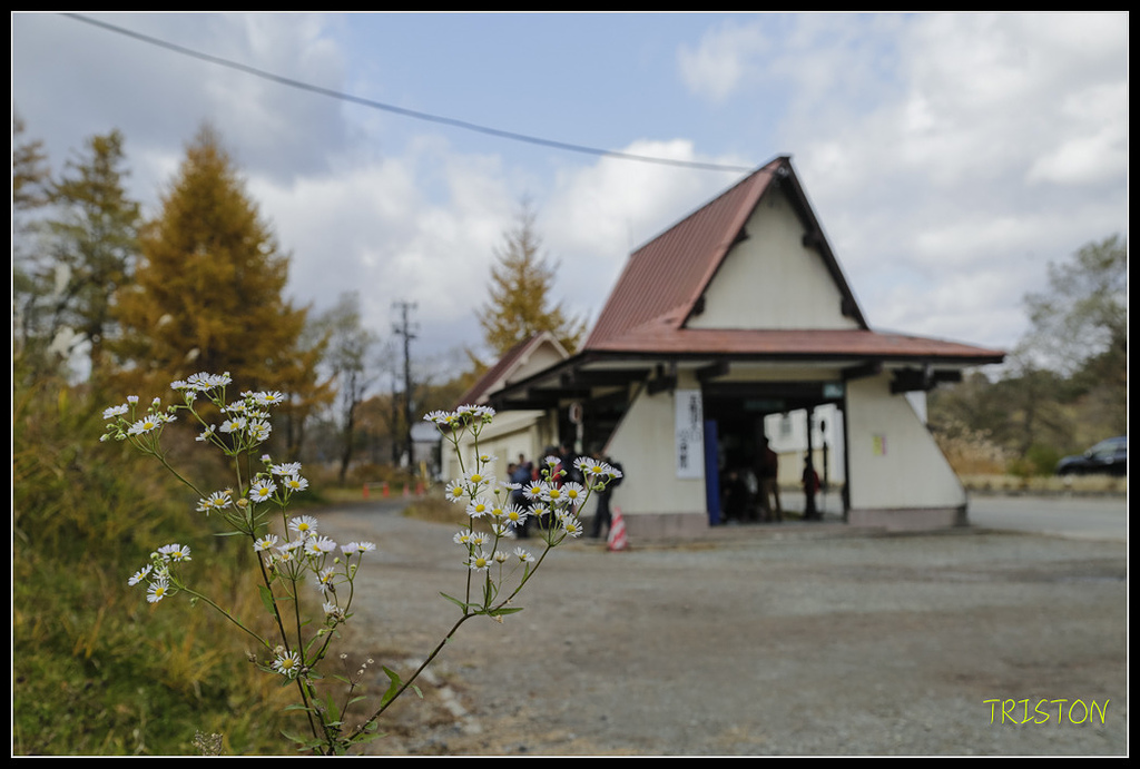 _H1A1399.jpg - 20171103 日本只見線、會津若松五色沼、昭和記念公園賞紅葉