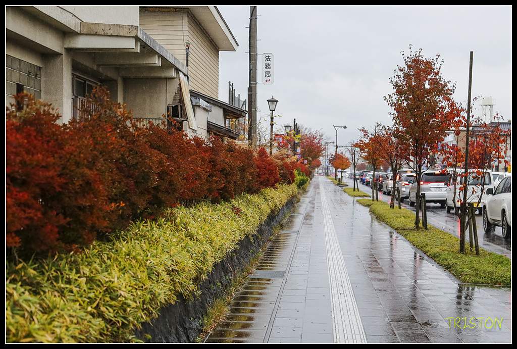 _H1A0865.jpg - 20171103 日本只見線、會津若松五色沼、昭和記念公園賞紅葉