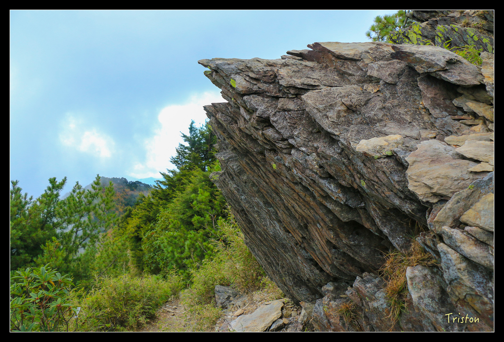 IMG_8781.jpg - 20151017 郡大林道、望鄉山、郡大山