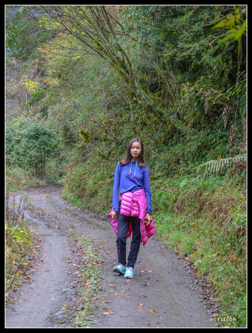 IMG_0943.jpg - 20151205 合歡溪步道、108K楓之谷