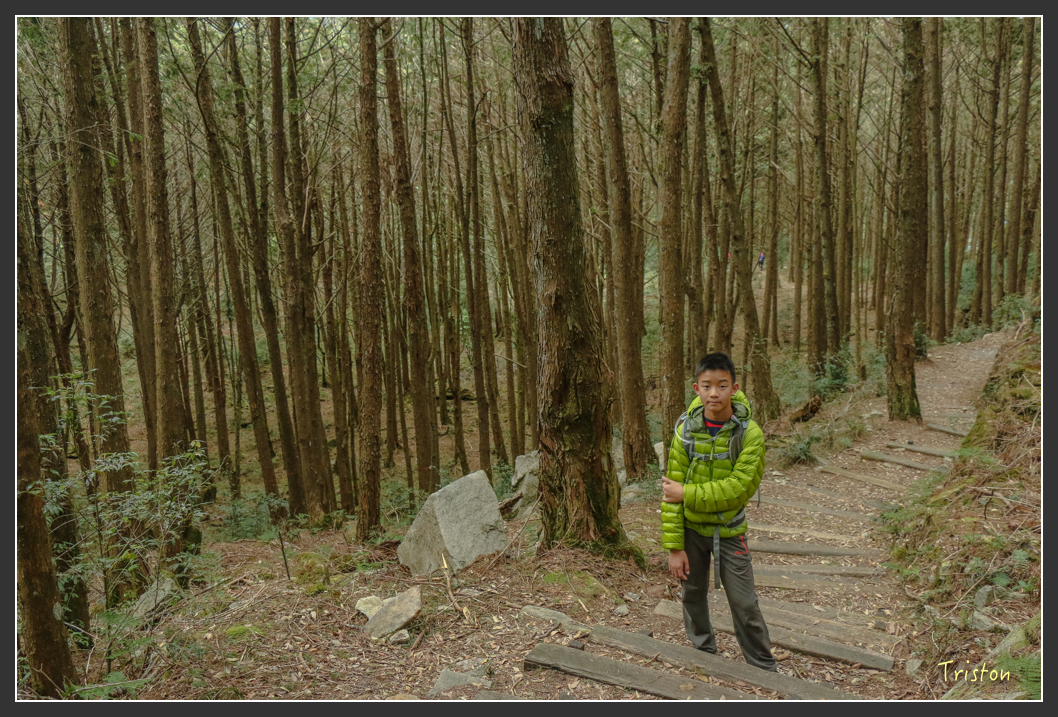 IMG_1184.jpg - 20151219 鳶嘴稍來山、小雪山林道