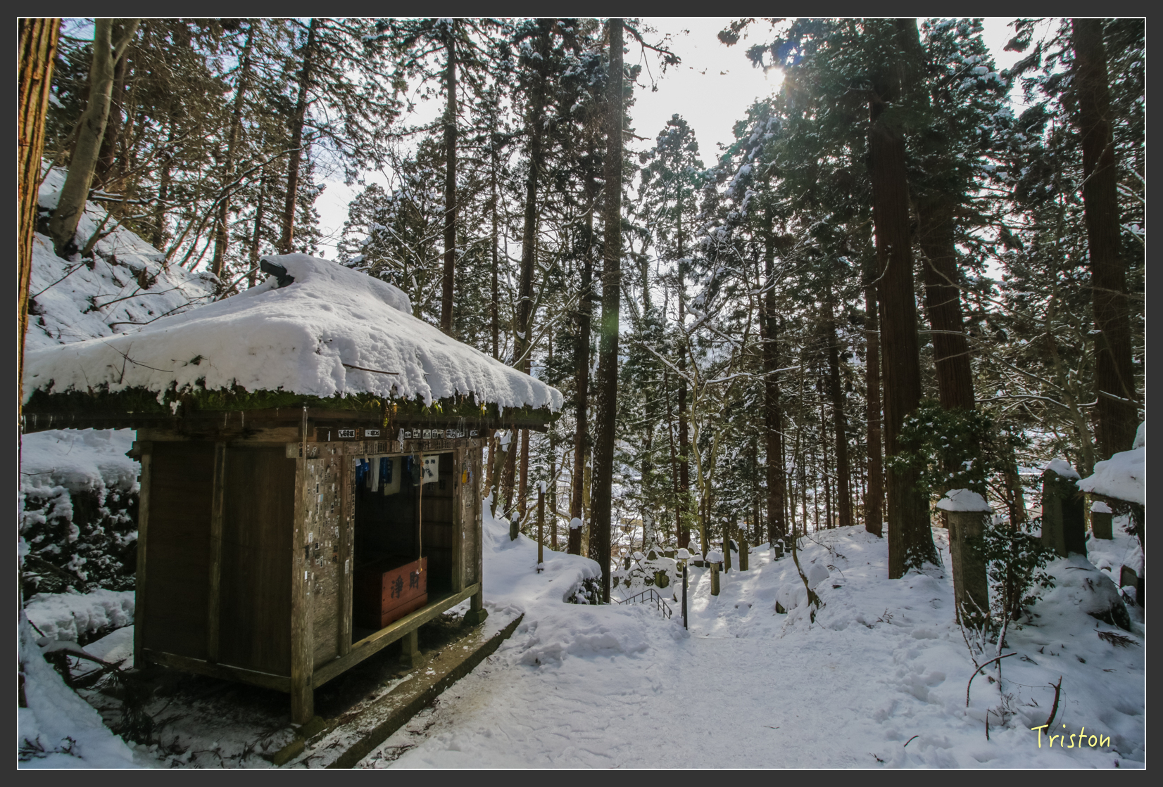 2016ZAO-00688.jpg - 20160131 日本藏王溫泉滑雪親子行