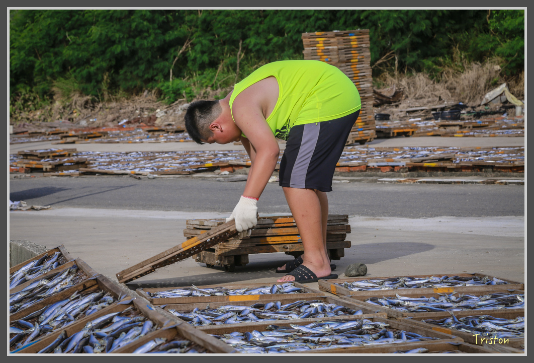 JH1A1124.jpg - 20160701 澎湖